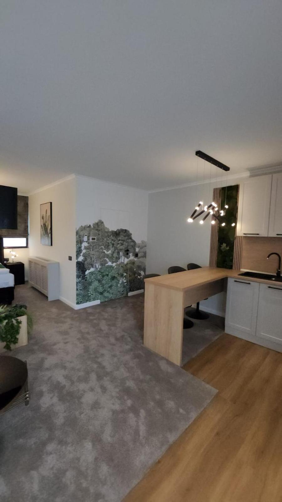Imperial Studio Sibiu Dış mekan fotoğraf