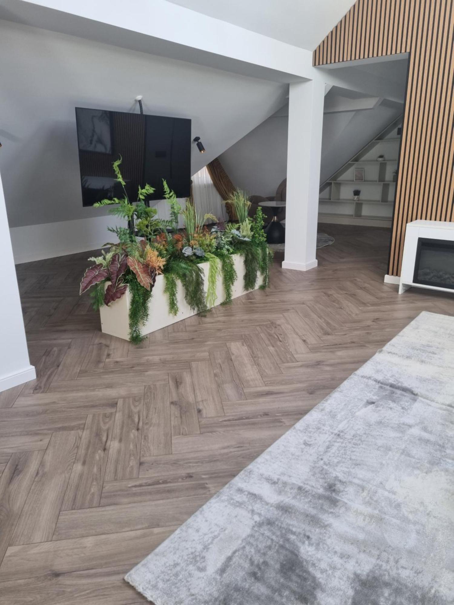 Imperial Studio Sibiu Dış mekan fotoğraf